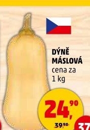 Dýně máslová