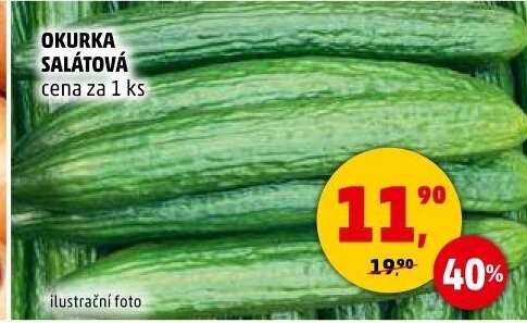 Okurka salátová - hadovka