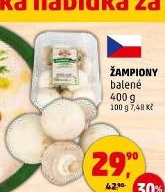 Žampiony