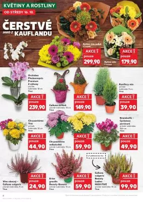akční leták Kaufland 16.10.2024-22.10.2024