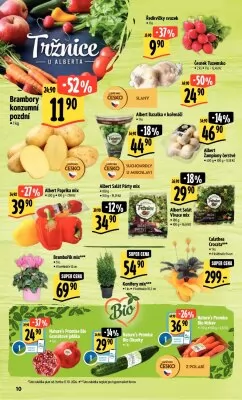 akční leták Albert 16.10.2024-22.10.2024