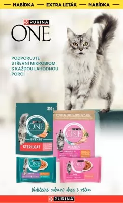 akční leták Albert 16.10.2024-22.10.2024