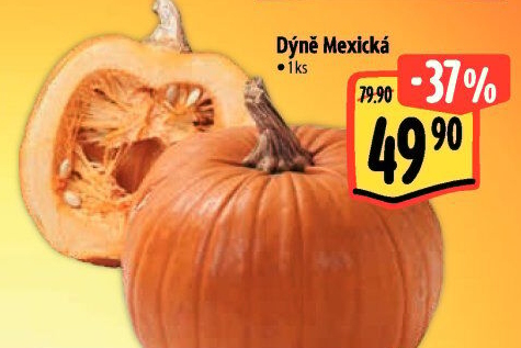 Dýně mexická