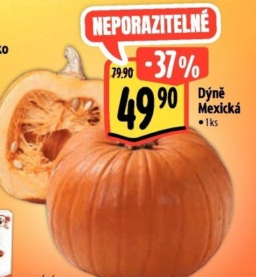 Dýně mexická