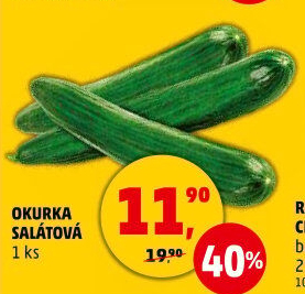 Okurka salátová - hadovka