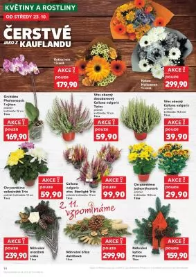 akční leták Kaufland 23.10.2024-29.10.2024