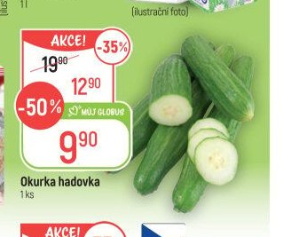 Okurka hadovka