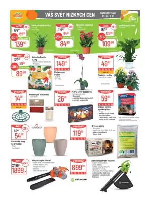 akční leták Globus 23.10.2024-29.10.2024