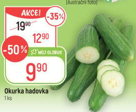 Okurka salátová - hadovka