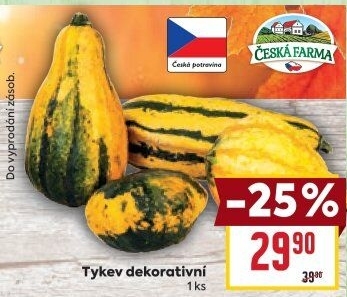 Okrasná dýně Česká Farma