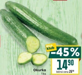 Okurka salátová - hadovka