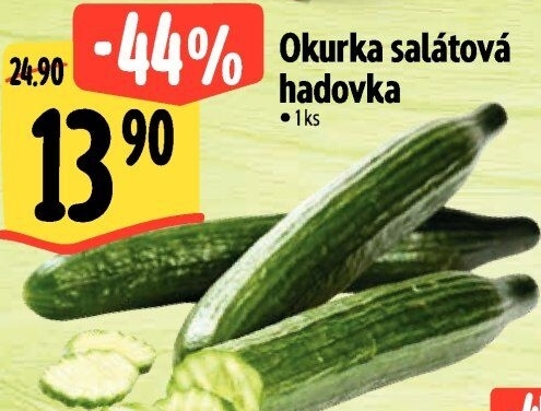 Okurka salátová - hadovka