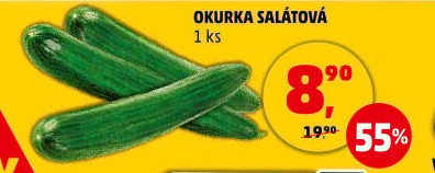 Okurka salátová - hadovka