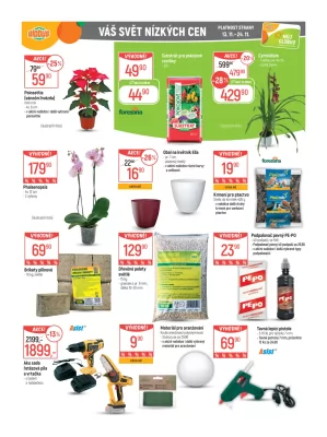 akční leták Globus 13.11.2024-19.11.2024