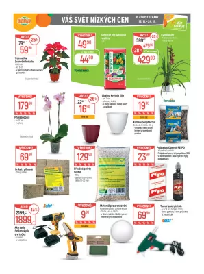 akční leták Globus 13.11.2024-19.11.2024