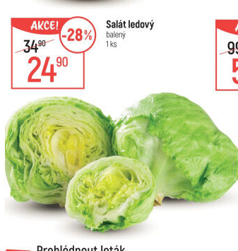 Salát ledový