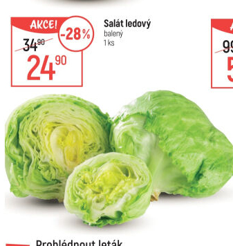 Salát ledový