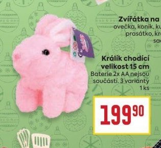 Králík chodící