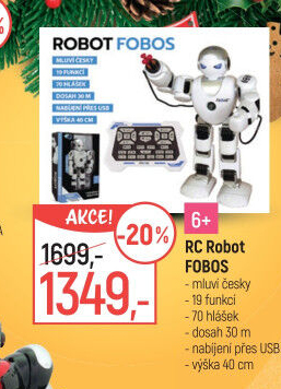 RC Robot Teddies