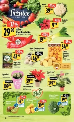 akční leták Albert 20.11.2024-26.11.2024