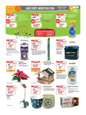 akční leták Globus 20.11.2024-26.11.2024