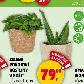 Mix zelených rostlin