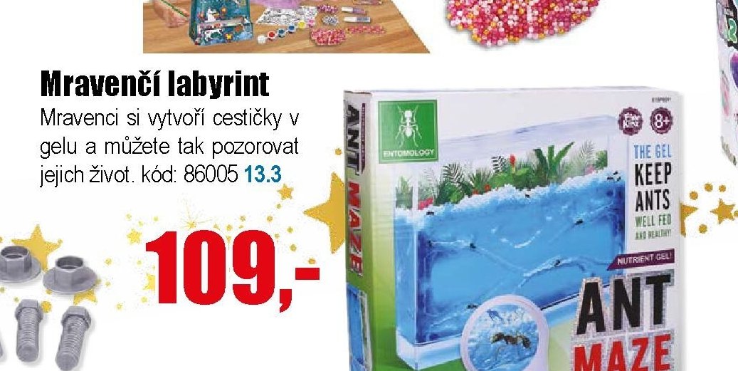Mravenčí labyrint