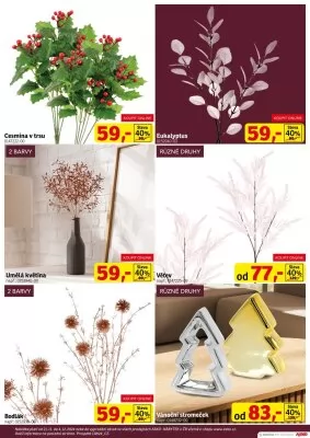 akční leták ASKO 21.11.2024-4.12.2024