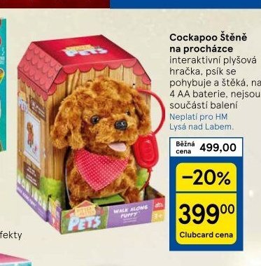 Cockapoo štěně na procházce