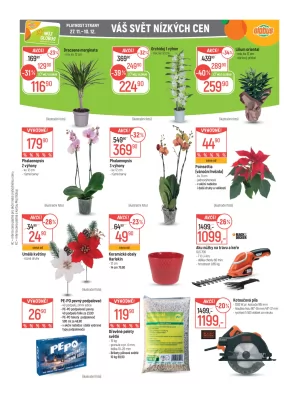 akční leták Globus 27.11.2024-3.12.2024