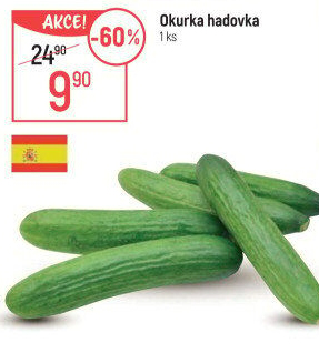 Okurka salátová - hadovka