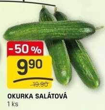 Okurka salátová - hadovka