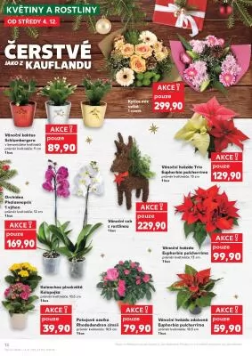 akční leták Kaufland 4.12.2024-10.12.2024