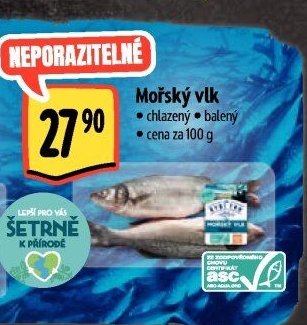 Mořský vlk