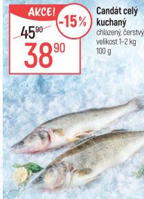 Candát obecný kuchaný