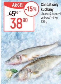 Candát obecný kuchaný