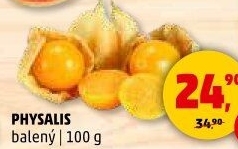 Physalis - Mochyně