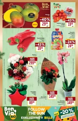 akční leták BILLA 4.12.2024-10.12.2024