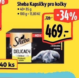 Sheba Kapsičky pro kočky