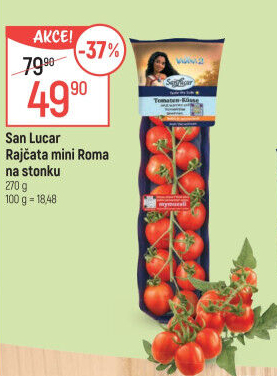 Rajčata keříková Roma San Lucar