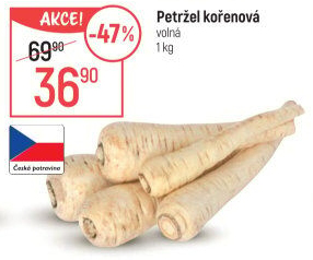 Petržel