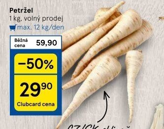 Petržel