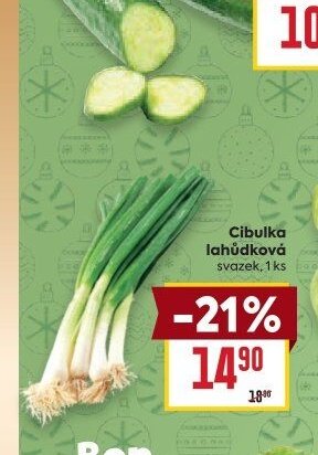 Cibulka lahůdková