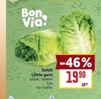 Salát Little gem