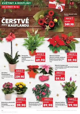 akční leták Kaufland 18.12.2024-24.12.2024