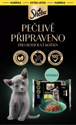 akční leták Albert 18.12.2024-24.12.2024