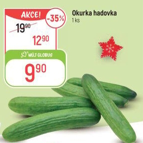 Okurka salátová - hadovka