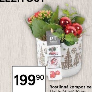 Květinové aranžmá