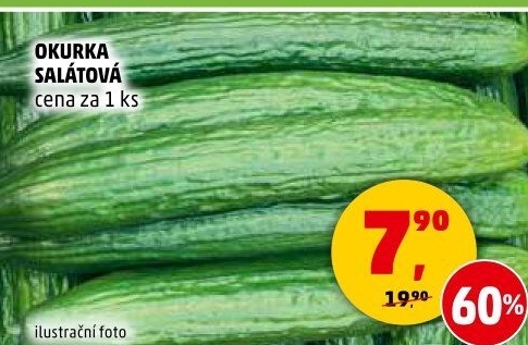 Okurka salátová - hadovka