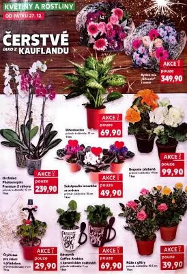 akční leták Kaufland 27.12.2024-31.12.2024